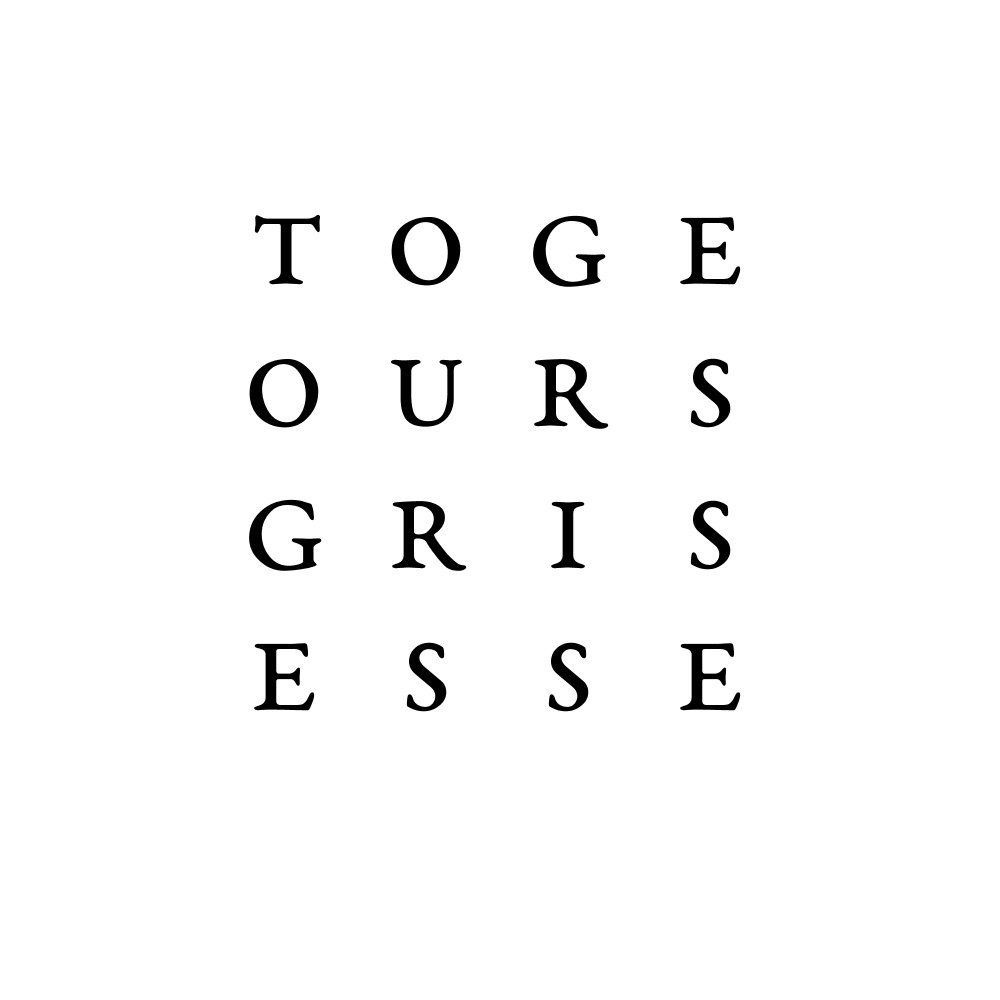 toge ours gris esse